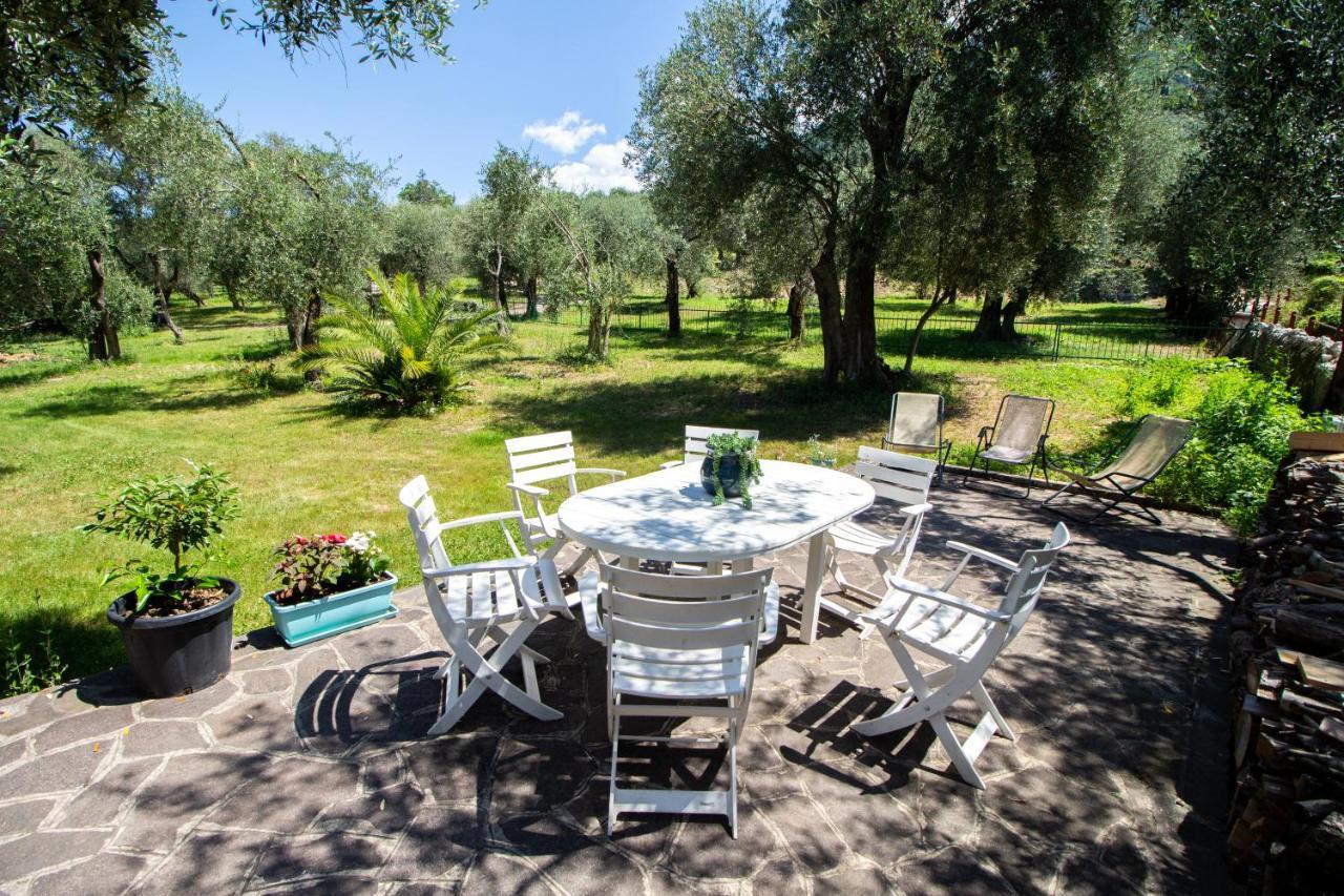 Villa Diana - Terrazza Sul Lago Assenza di Brenzone Zewnętrze zdjęcie